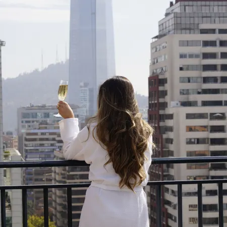 The Ritz-Carlton, Santiago