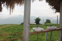 Guyen's Homestay - Hostel Hotels in Thong Nguyen