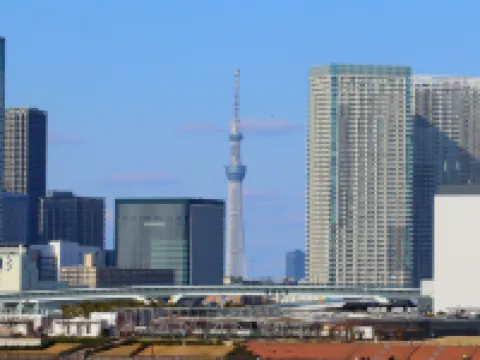 東横INN西船橋原木インター 市川のホテル