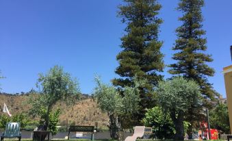 Alamal River Club