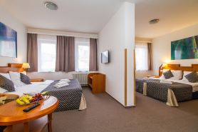 LH Hotel Mědínek Old Town