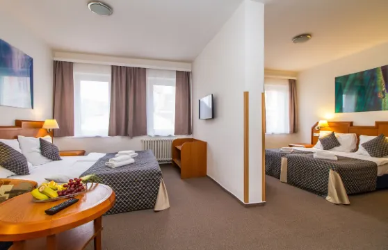 美迪內科舊城區酒店