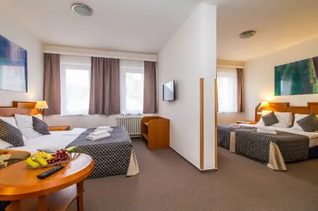 LH Hotel Mědínek Old Town