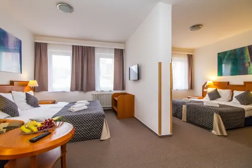 LH Hotel Mědínek Old Town Hotels in Nova Ves I