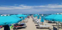 Hotel Italy Hotels in Misano Adriatico
