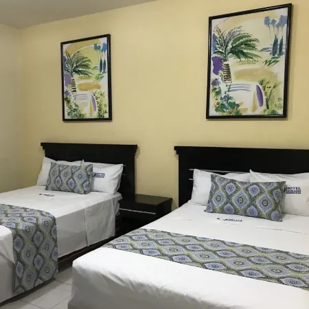 Hotel Dorado Malecon & Playa