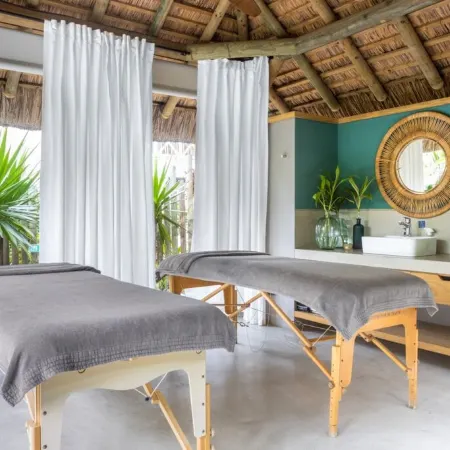 Tropical Attitude,
