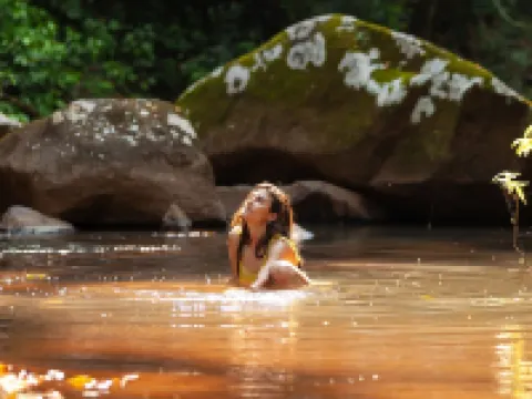 The Canopy Rainforest Treehouses & Wildlife Sanctuary Hotels in Malanda