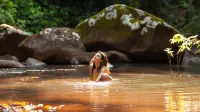 The Canopy Rainforest Treehouses & Wildlife Sanctuary Hotels in Tarzali