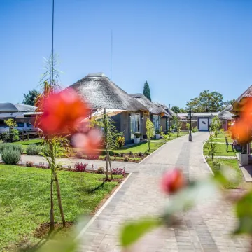 TshiBerry Bed & Breakfast