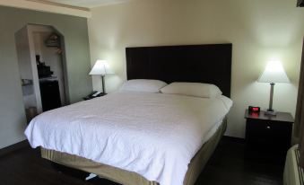Trinity Suites Downtown Dallas