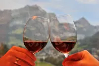 Hotel Restaurant Bänklialp - Mountain view
