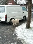 Carinya Village Jindabyne - parking
