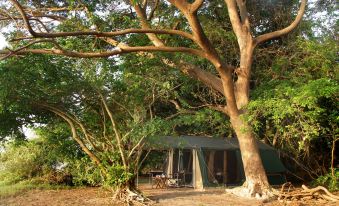 The Yala Camping