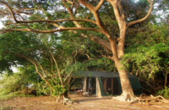 亞拉營地