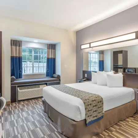 Microtel Inn & Suites by Wyndham Brooksville
