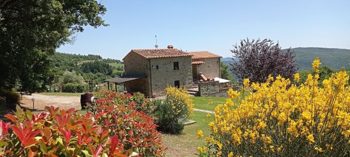 Agriturismo la Coccinella Hotels in Cortona