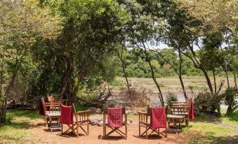 Hammerkop Migration Camp
