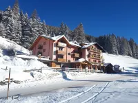 Hotel la Roccia Hotels in Ponte di Legno