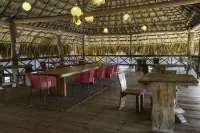 Socialtel Palomino - Formerly Selina Palomino