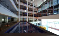 Avasa Hotel - Pools