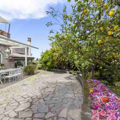 Villa Maresca B&B Hotel Exterior