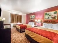 Econo Lodge Hotels in Dexter