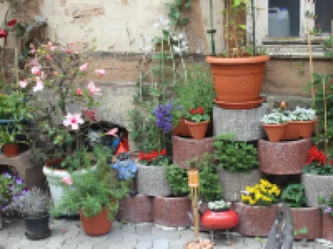 Restaurant / Pension Mainzer Tor Hotels in Alsfeld