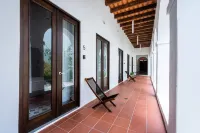 150 Sol by Stay with Bear