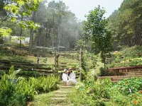 Mo Stay - Forest Resort Hotéis em Dalat