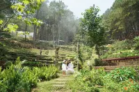 Mo Stay - Forest Resort