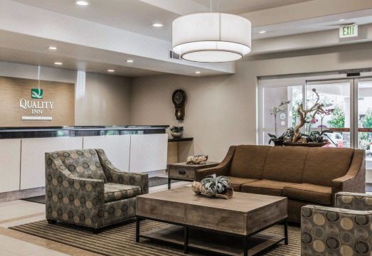 퀄리티 인 조식 섹션