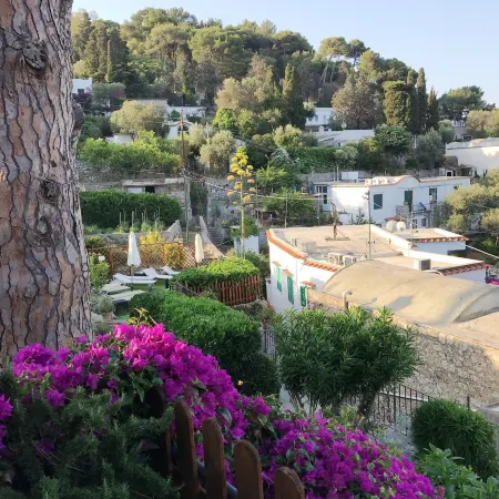 La Reginella Capri