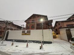 Bon The Willow Woods