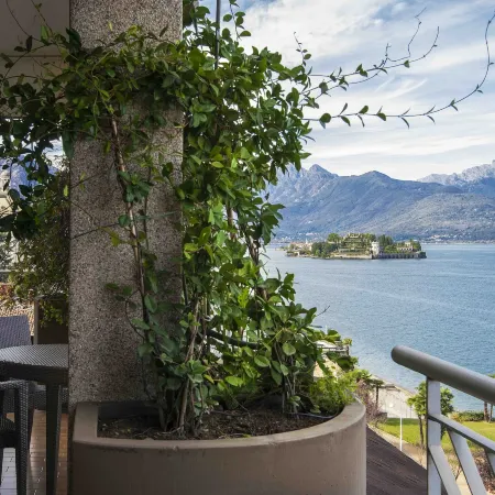 Hotel la Palma