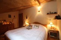 3P 55 m2 apartment in a luxury chalet. Very close to the lifts.