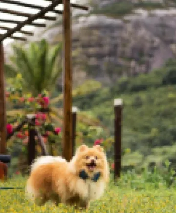 Rangel Village - Hotel Fazenda Pedra Do Rodeadouro  호텔