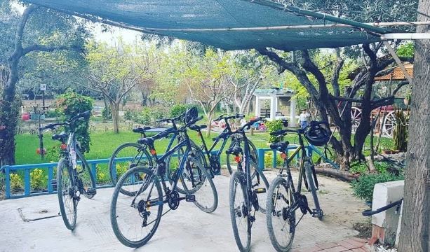 2. 아크모냐 판시욘..