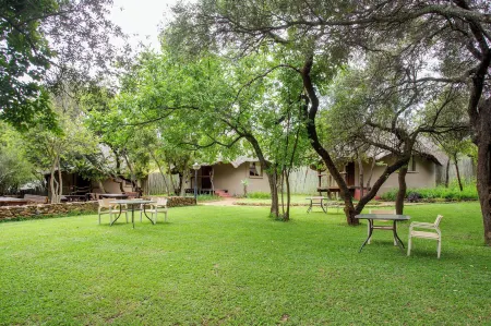 Warthogs Bush Lodge