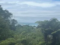 Green Serenity. Hotels in Hahei