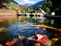 Vacation apartment in the Grisons Oberland Hotels in Breil/Brigels