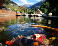 Vacation apartment in the Grisons Oberland