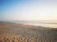 Sea view apartment at the foot of Merlimont beach