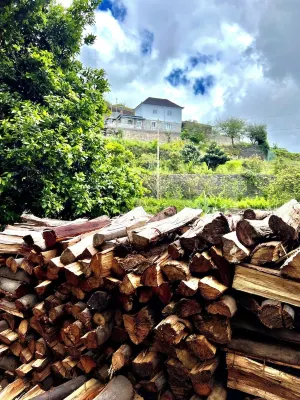 Pacifichouse Hotels in Gaula