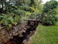 Boquete Luxury: Chic & Serene Home, Walk to Town & Amenities Hotels in Boquete