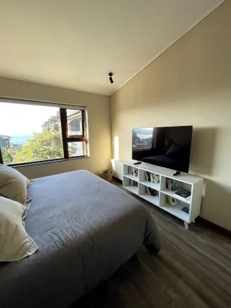 Beautiful Apartment With Terrace and Lake View