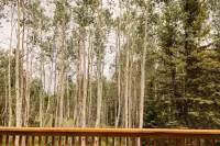 Beautiful Winter Getaway Among Aspen and Wildlife