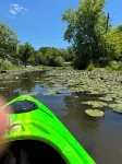 Charming 2-bedroom cottage at Canadohta Lake with WiFi