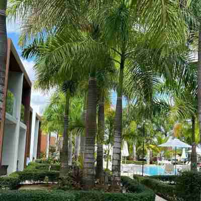 Boca Paraíso Villa: Steps to Pool & 2Br Comfort Others