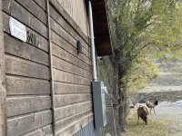 CORRAL VILLAS<br>Deluxe studios in the north entrance to Yellowstone